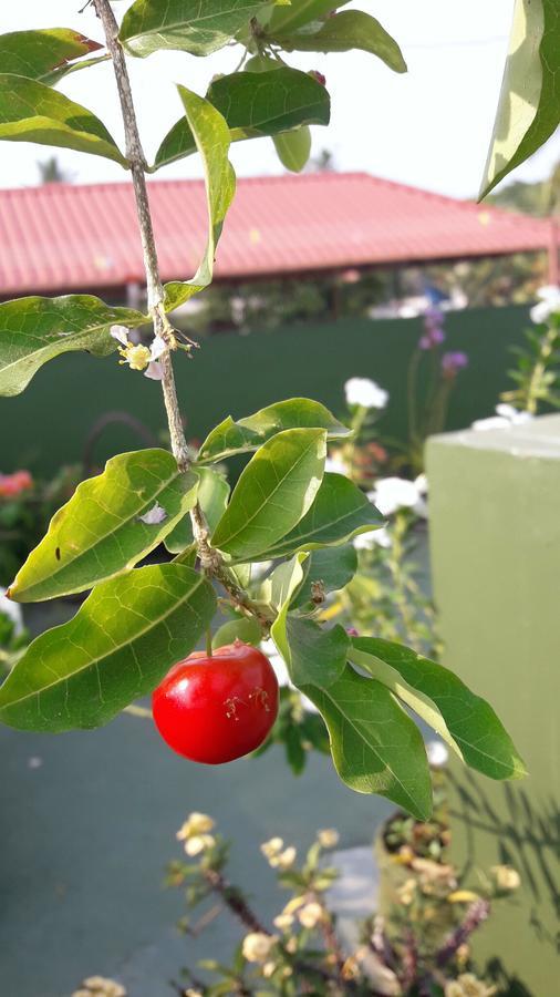 Heavenly Homestay Kochi Εξωτερικό φωτογραφία