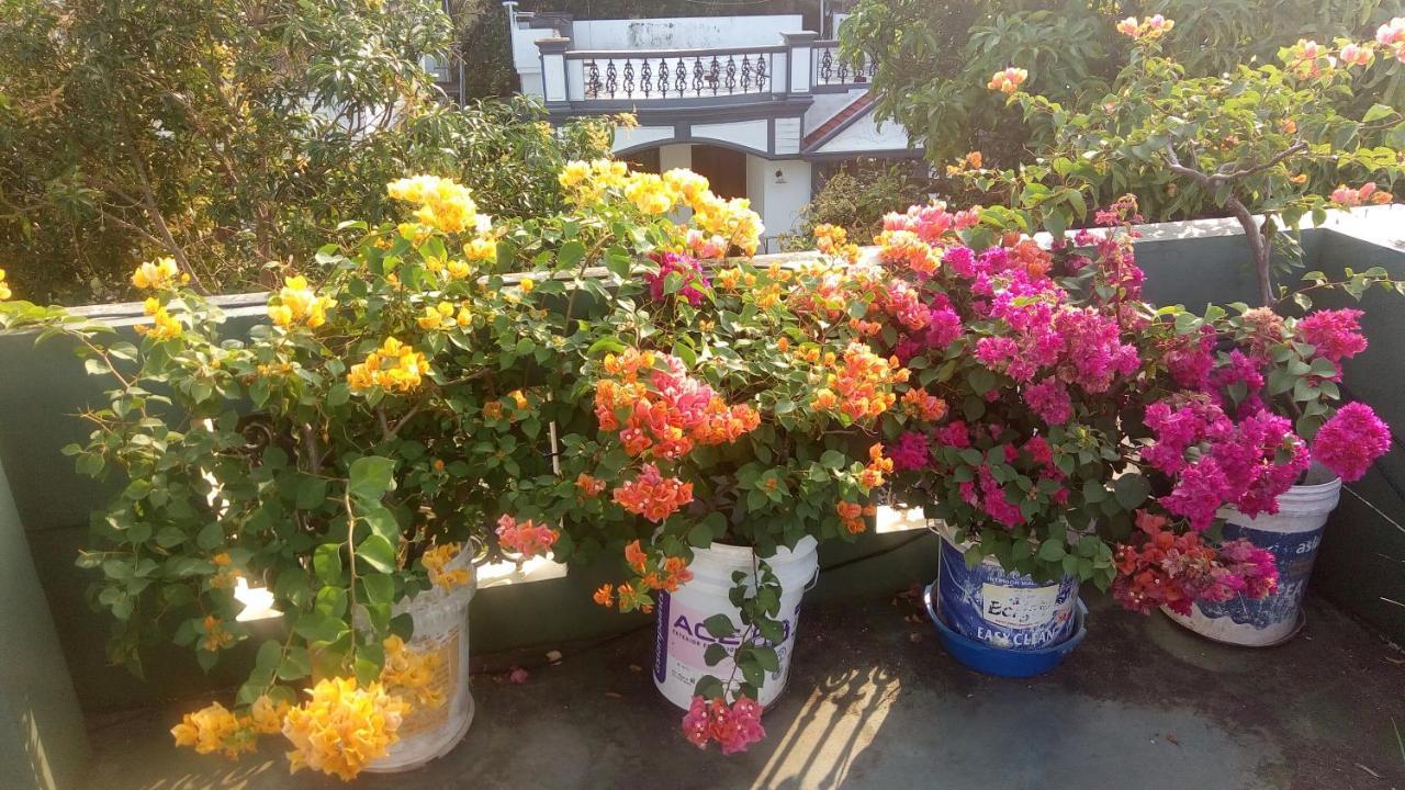Heavenly Homestay Kochi Εξωτερικό φωτογραφία
