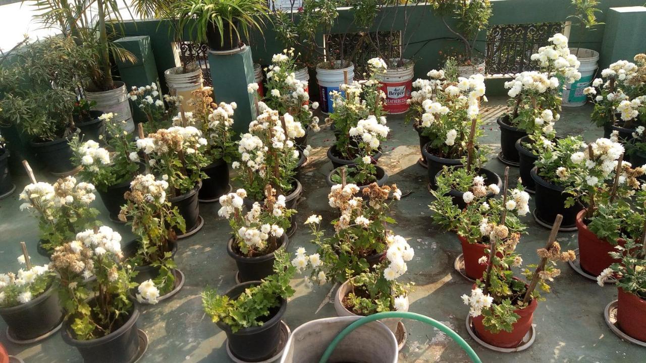 Heavenly Homestay Kochi Εξωτερικό φωτογραφία